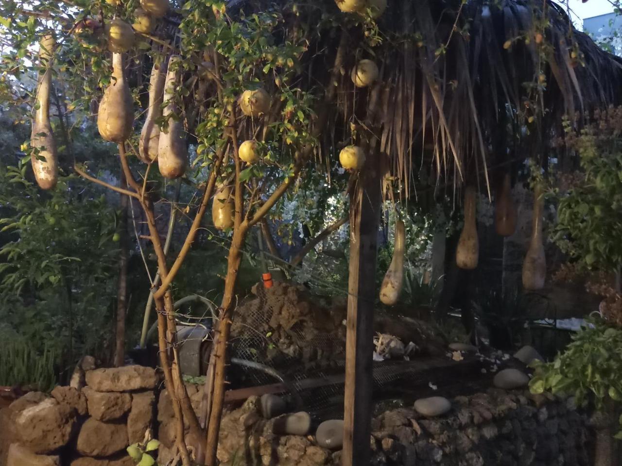 مبيت وإفطار فاماغوستا ميستري غاردين غيست هاوس المظهر الخارجي الصورة